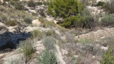 Terreno en venta en Camporrosso Village - Vista 2