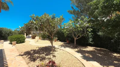 House in Cap Martí - Pinomar photo 35