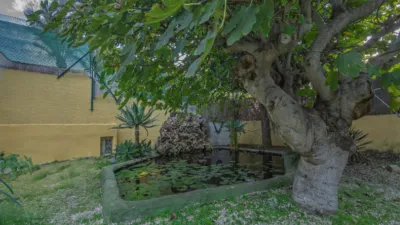 Chalet on Carrer de Brufol-Montemar photo 52