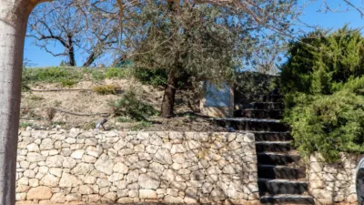 Rustic Finca in the Valencian Community photo 41