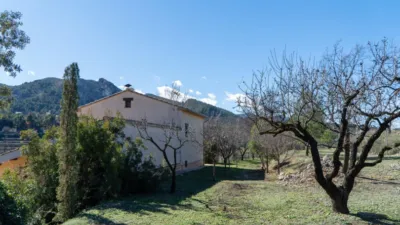 Rustic Finca in the Valencian Community photo 42