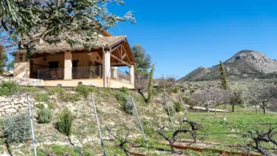 Rustic Finca in the Valencian Community photo 44