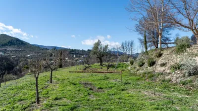 Rustic Finca in the Valencian Community photo 46