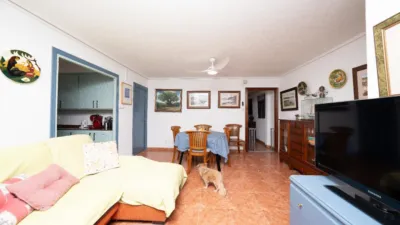 Apartment on Carrer Blas Valero photo 22