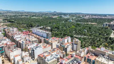 Apartment on Carrer Blas Valero photo 33