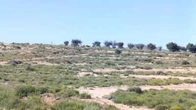 Terreno en venta en Calle los Cabezos - Vista 2