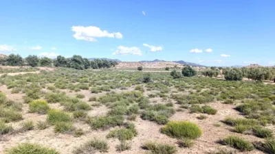 Terreno en venta en Calle los Cabezos - Vista 3