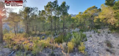 Terreno en venta en Cremats - Vista 3