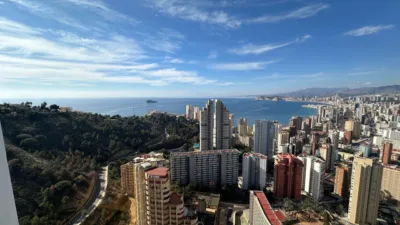 Apartment in Rincon de Loix Cruz photo 24