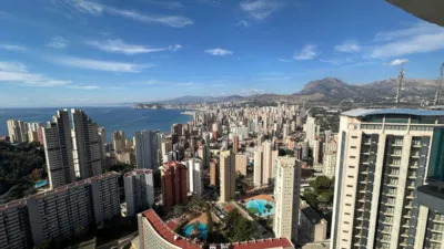 Apartment in Rincon de Loix Cruz photo 25