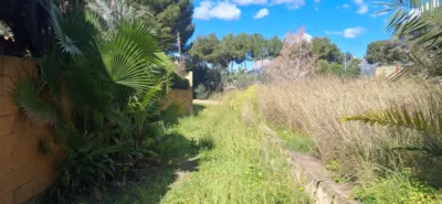 House in Levante photo 3