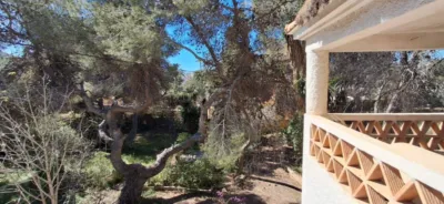 House in Levante photo 43
