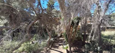 House in Levante photo 47