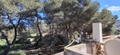 House in Levante photo 51