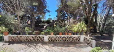 House in Levante photo 52