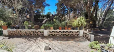 House in Levante photo 53