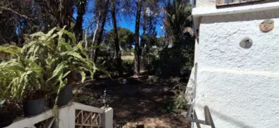 House in Levante photo 54