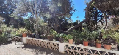 House in Levante photo 55
