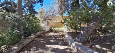 House in Levante photo 56