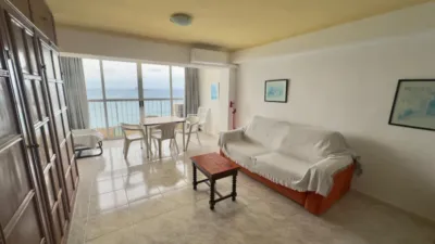 Apartment in 1st Line photo 8