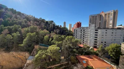 Apartment in Rincon de Loix Alto photo 26