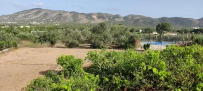 House in Rincon de Loix photo 10