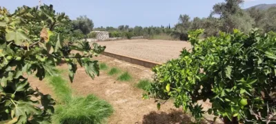 House in Rincon de Loix photo 11