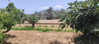 House in Rincon de Loix photo 12