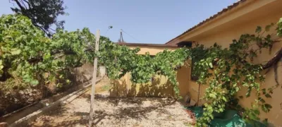 House in Rincon de Loix photo 3