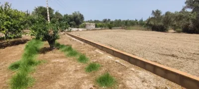 House in Rincon de Loix photo 9