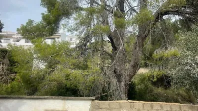 House in Alfaz del Pi photo 6