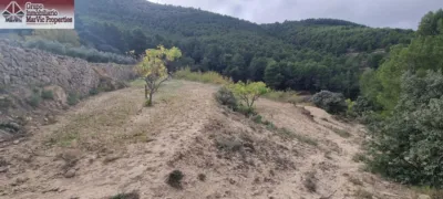 Rustic Finca in the Valencian Community photo 30