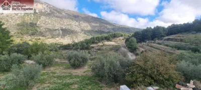 Rustic Finca in the Valencian Community photo 32