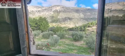 Rustic Finca in the Valencian Community photo 33