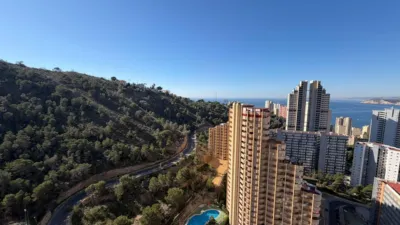 Apartment in Rincon de Loix Alto photo 31