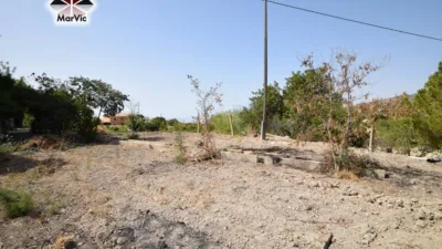 Chalet in Ptda El Moli photo 7