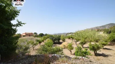 Chalet in Ptda El Moli photo 8