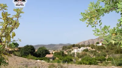 Chalet in Ptda El Moli photo 9
