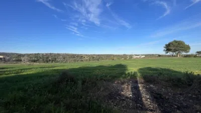 Finca rústica en venta en Calle Pol 18, Cala Anguila-Cala Mendia (Manacor) de 1.300.000 €