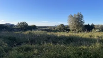 Finca rústica en venta en Calle Pol 18, Cala Anguila-Cala Mendia (Manacor) de 1.300.000 €
