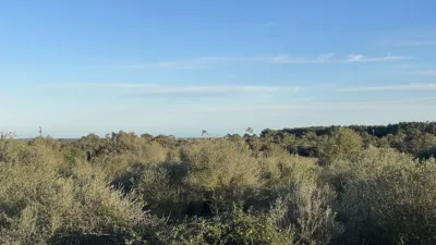 Finca rústica en venta en Calle Pol 18, Cala Anguila-Cala Mendia (Manacor) de 1.300.000 €