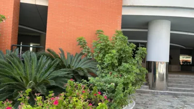 Piso en alquiler en Jardines de Hércules, Bellavista (Distrito Bellavista-La Palmera. Sevilla Capital) de 900 €<span>/mes</span>