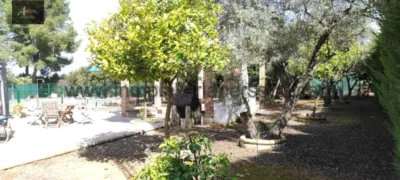 Chalet in Los Algarbes photo 16