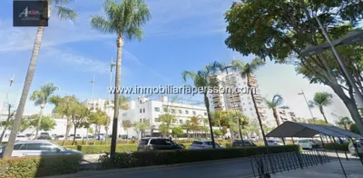 Apartment in Alcarrachela photo 16