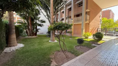 Piso en Babel photo 38