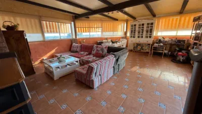 Penthouse in Torrellano photo 29