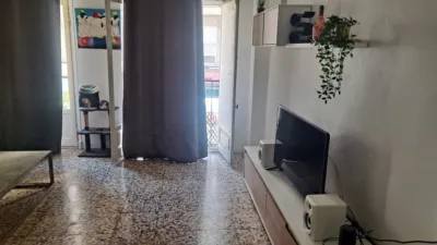 Pis – Elx - Elche - Vista 2