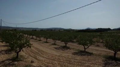 Terreno en venta en Almansa - Vista 2