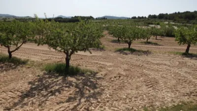 Terreno en venta en Almansa - Vista 3