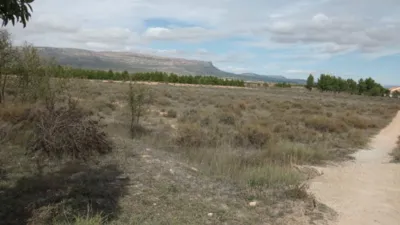 Terreno en venta en Almansa - Vista 2